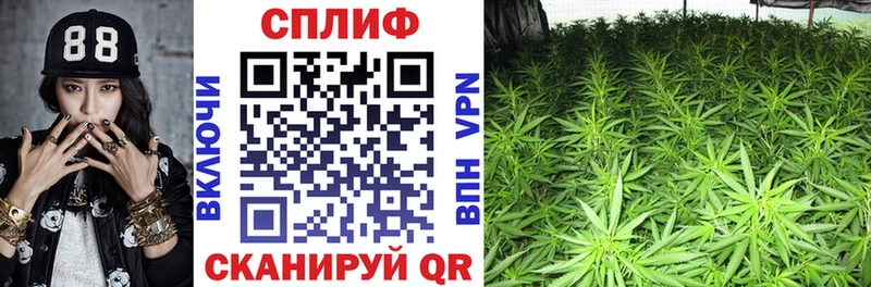 Марихуана Amnesia Фатеж