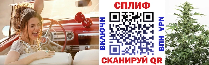Канабис сатива  купить   Фатеж 